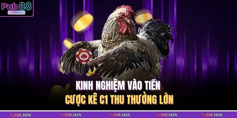 Kinh nghiệm vào tiền cược kê C1 thu thưởng lớn