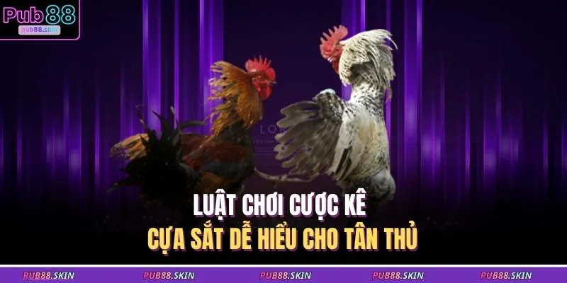 Đá Gà Cựa Sắt – Cuộc Đấu Tốc Độ Nắm Chắc Thưởng Khủng 2 Luật chơi cược kê cựa sắt dễ hiểu cho tân thủ