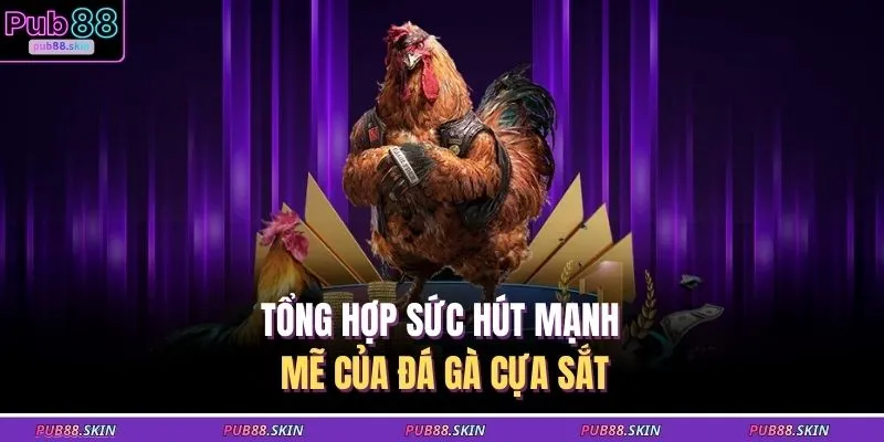 Đá Gà Cựa Sắt – Cuộc Đấu Tốc Độ Nắm Chắc Thưởng Khủng 1 Tổng hợp sức hút mạnh mẽ của đá gà cựa sắt